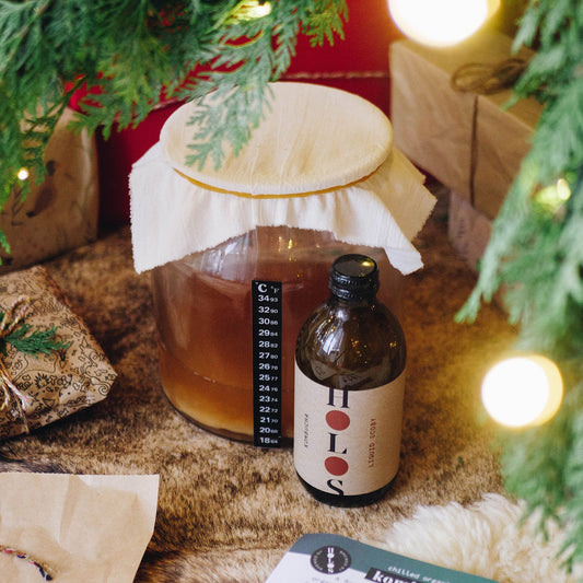 What to Buy Someone Who Has Everything? Try the Holos Home Kombucha Brewing Kit