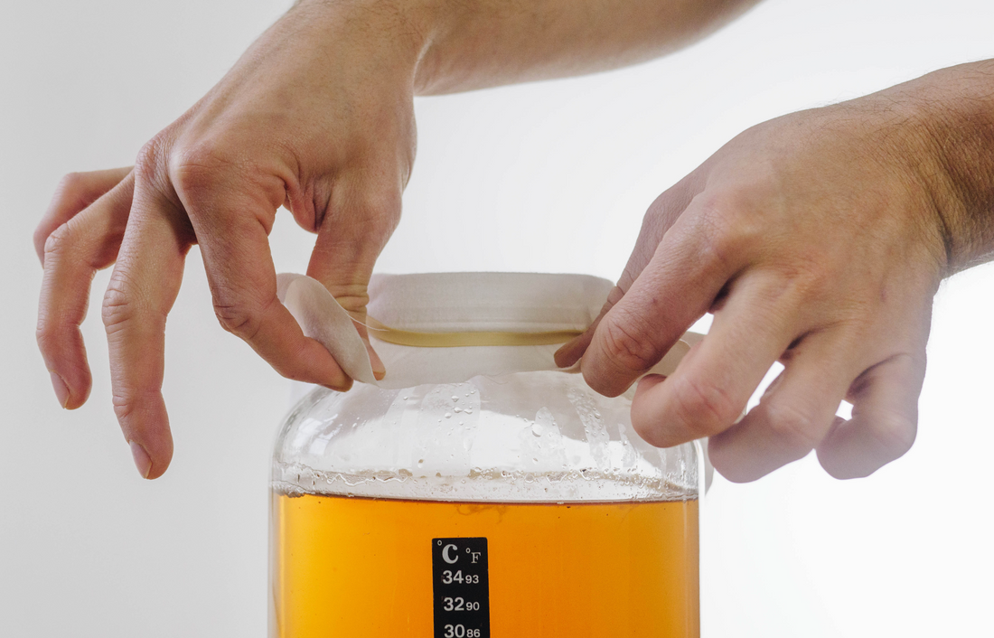 The best kombucha making kit