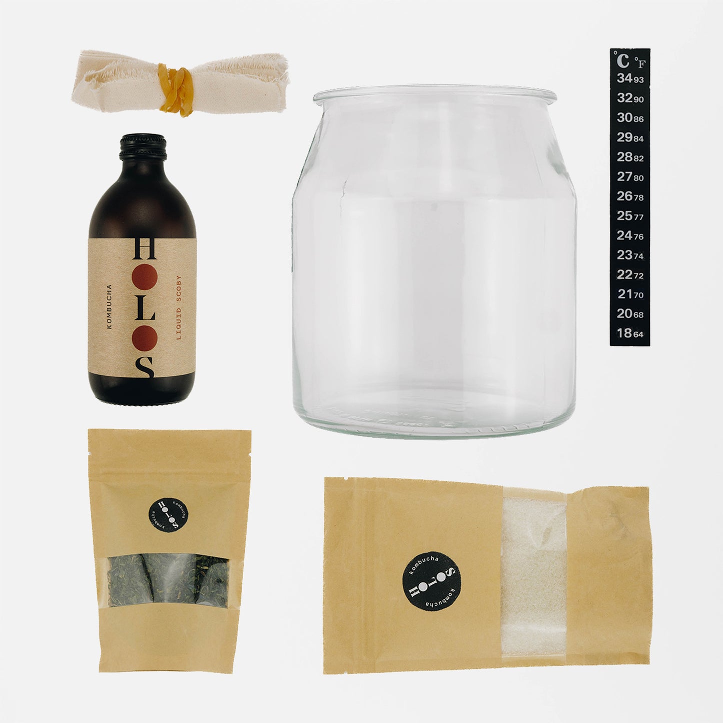 kombucha brewing kit SCOBY box home HOLOS