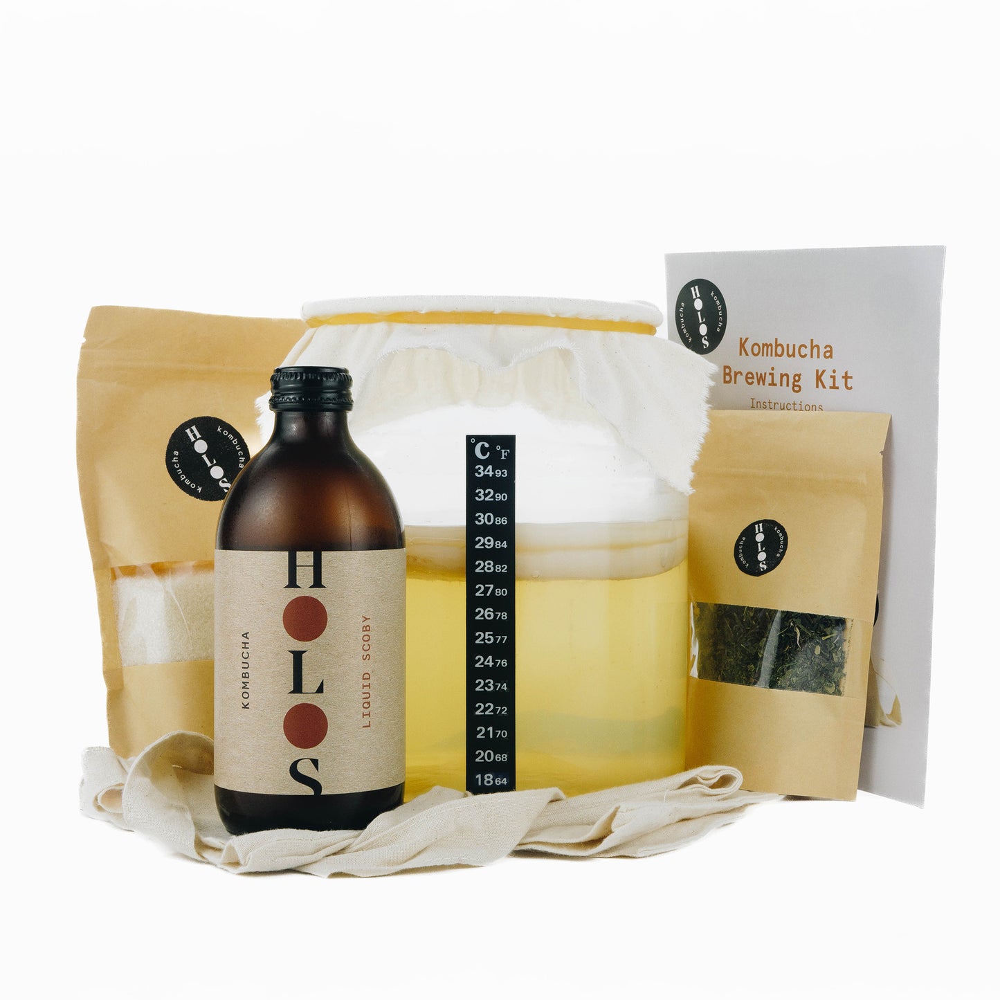 kombucha brewing kit SCOBY box home