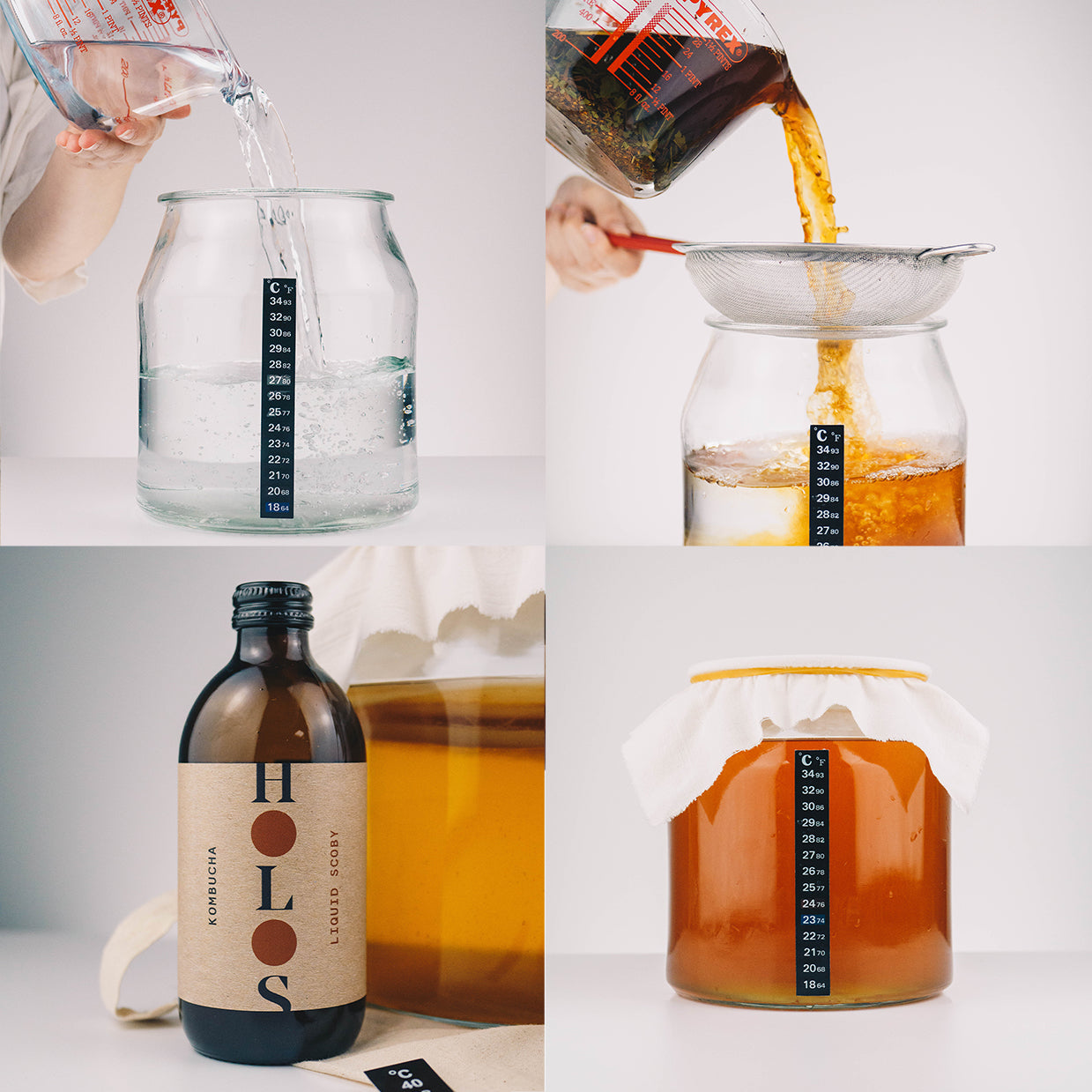 best kombucha making kit UK scoby