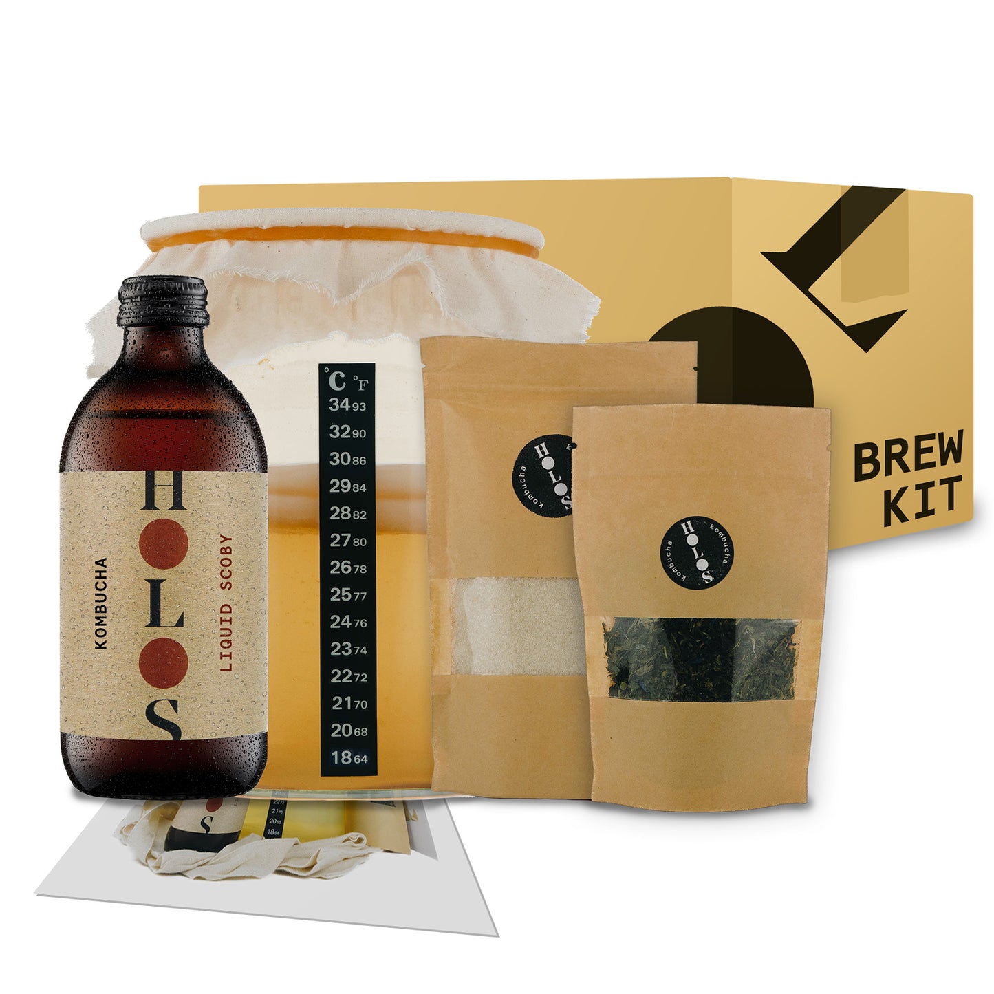 kombucha brewing kit SCOBY box