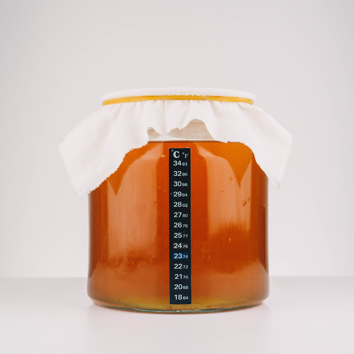 how to make kombucha scoby