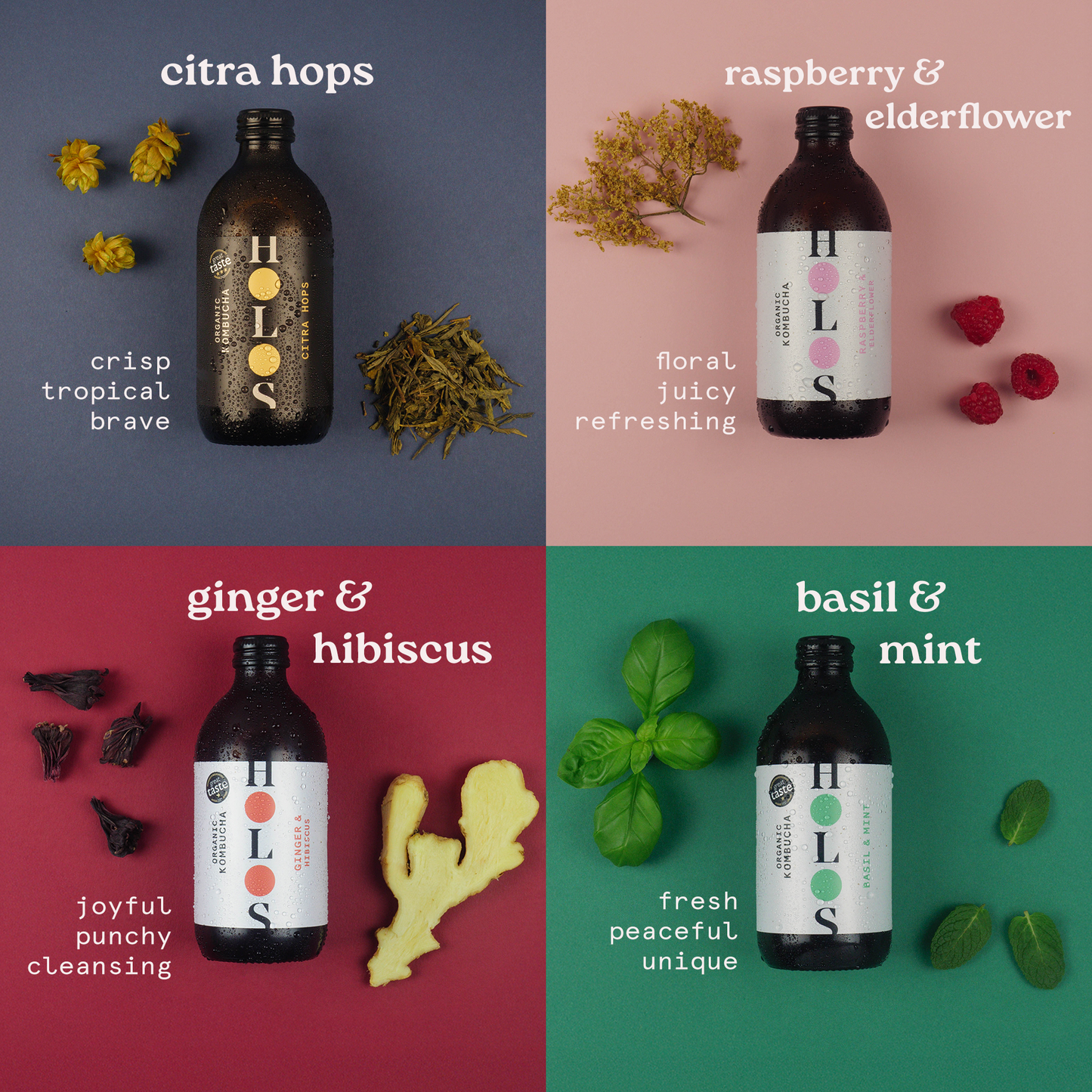 kombucha organic drink flavours best