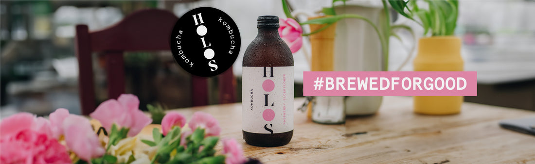 The Best Kombucha Subscription Box in the UK: Holos Kombucha Mix Case