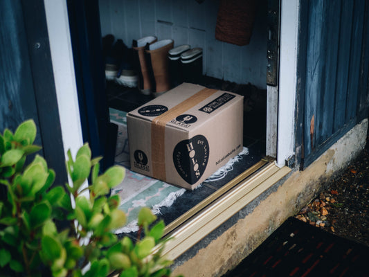 Here's Why a Kombucha Subscription Might be the September Pick-me-up You Need