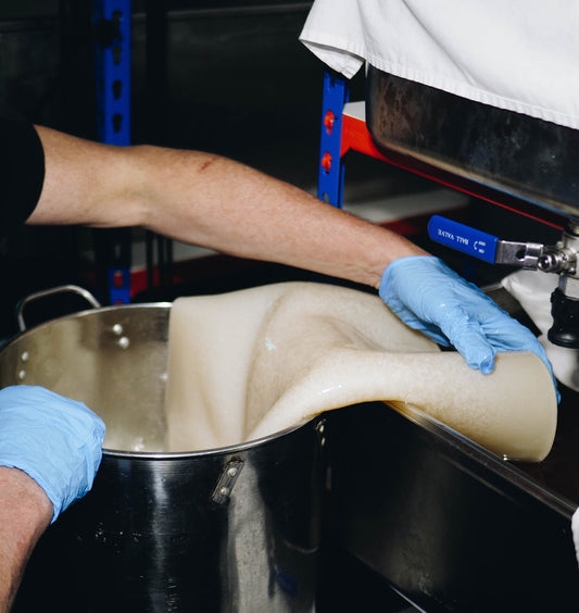 The Art of Fermentation: Discover the Power of the SCOBY