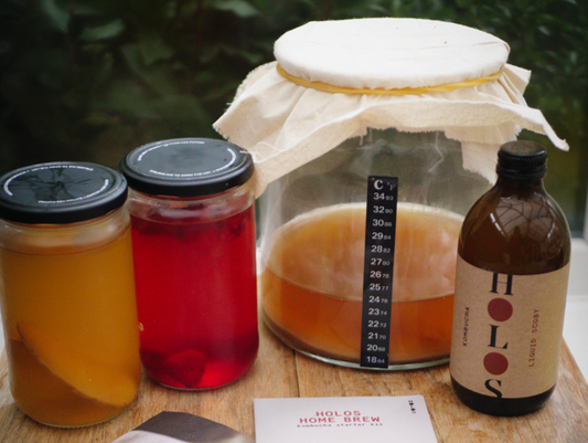 For the love of Craft kombucha – Our Story from Kitchen to Factory