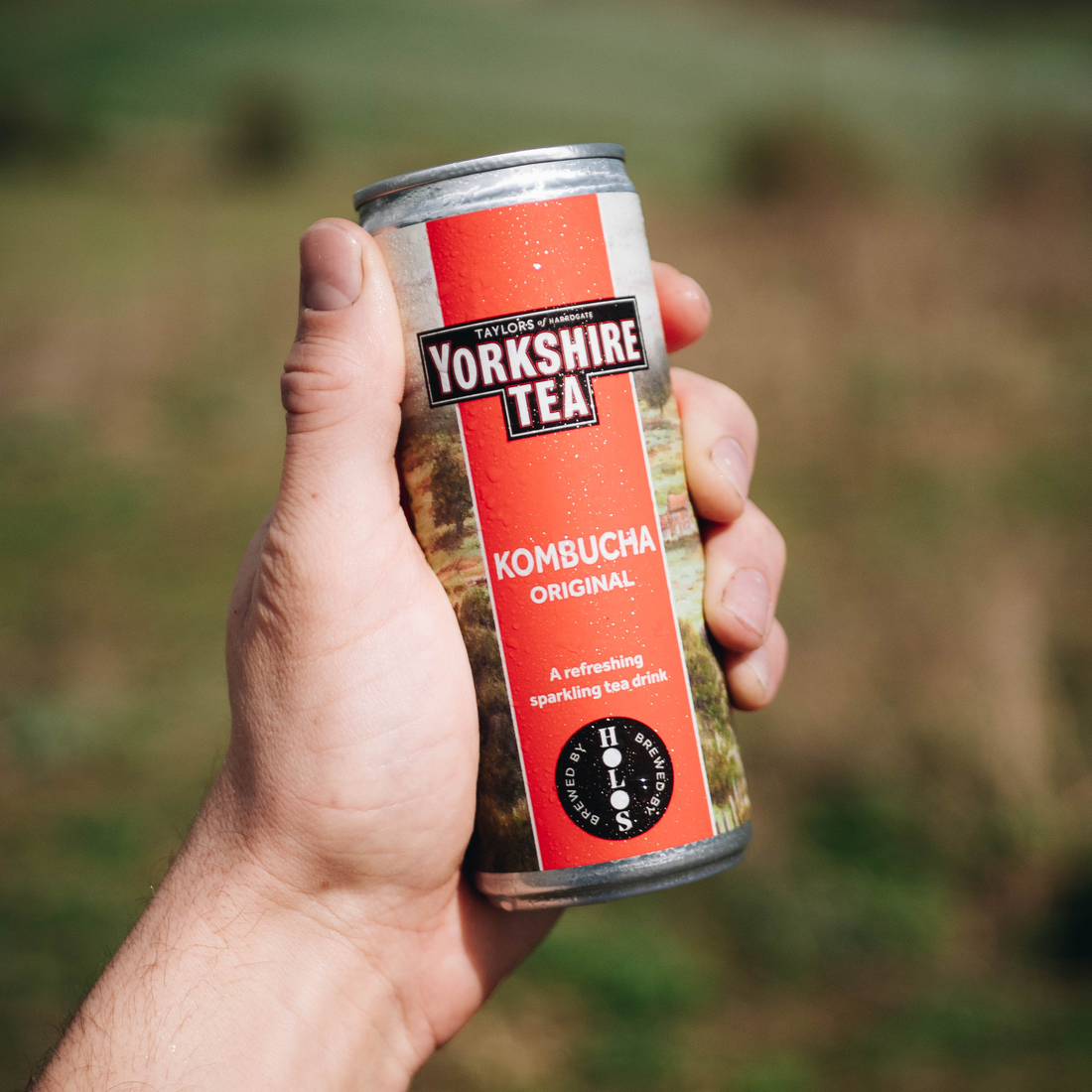 The Yorkshire Tea Kombucha, brewed by HOLOS.