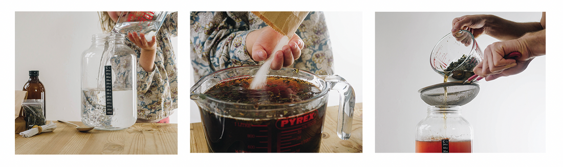 How to Make Kombucha at Home (The Beginner’s Guide)