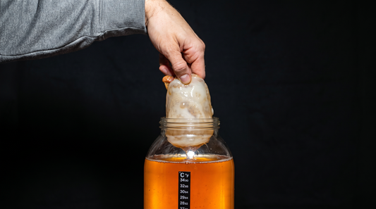 The History of Kombucha & Brewing It at Home