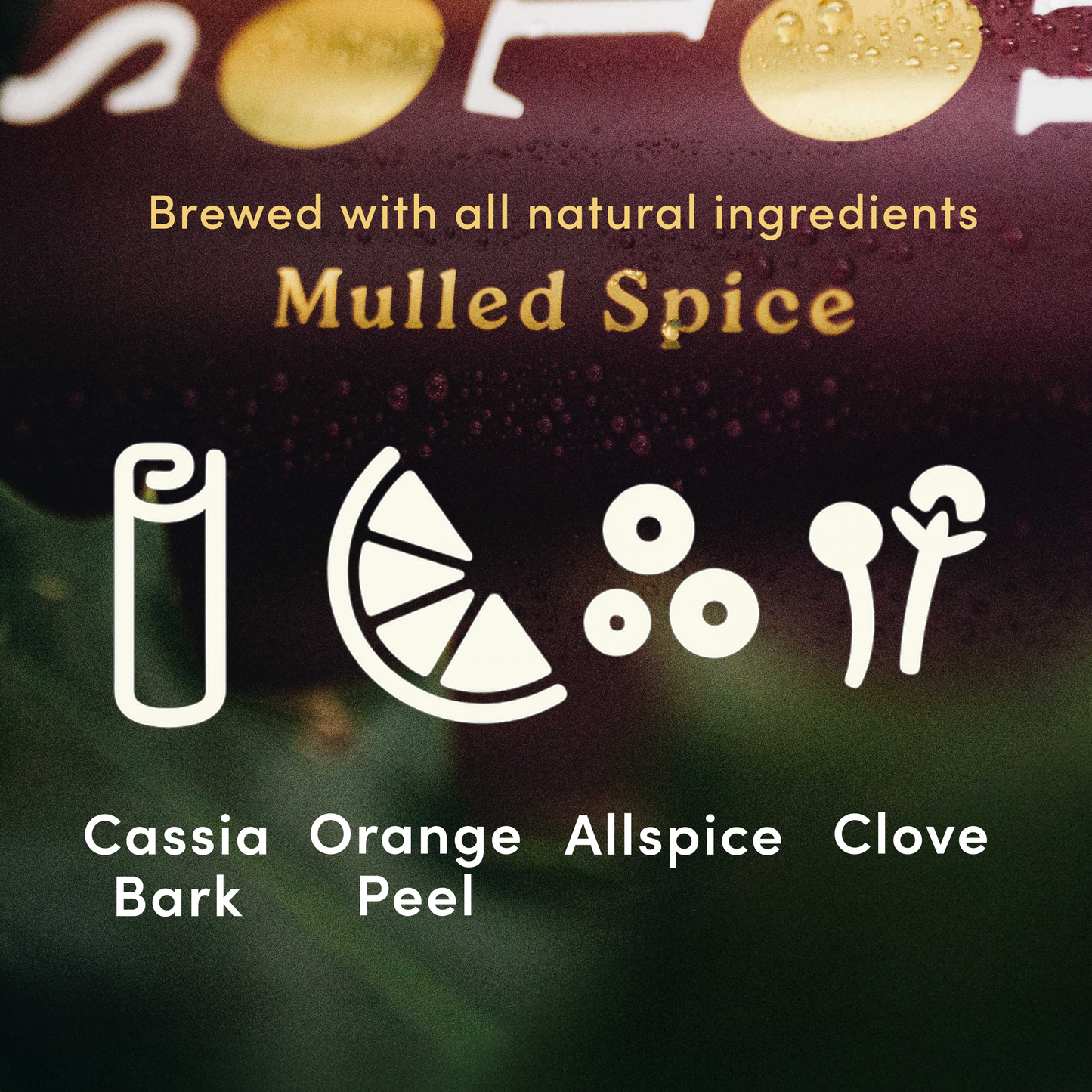 Mulled Spice Christmas Kombucha