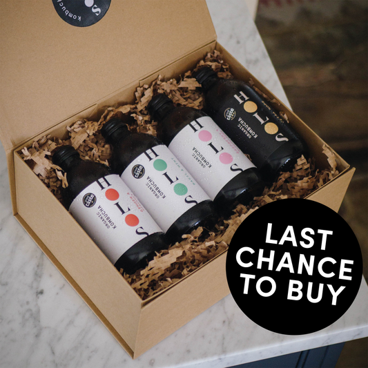 Organic Kombucha Discovery Box