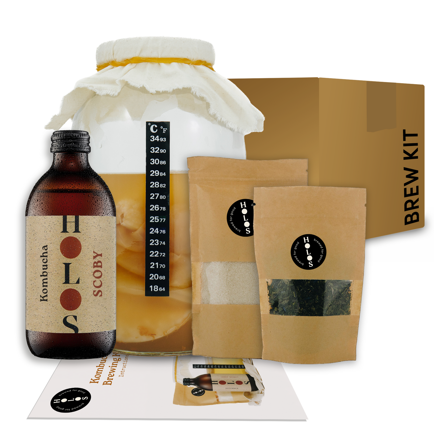 Kombucha Brewing Kit with SCOBY