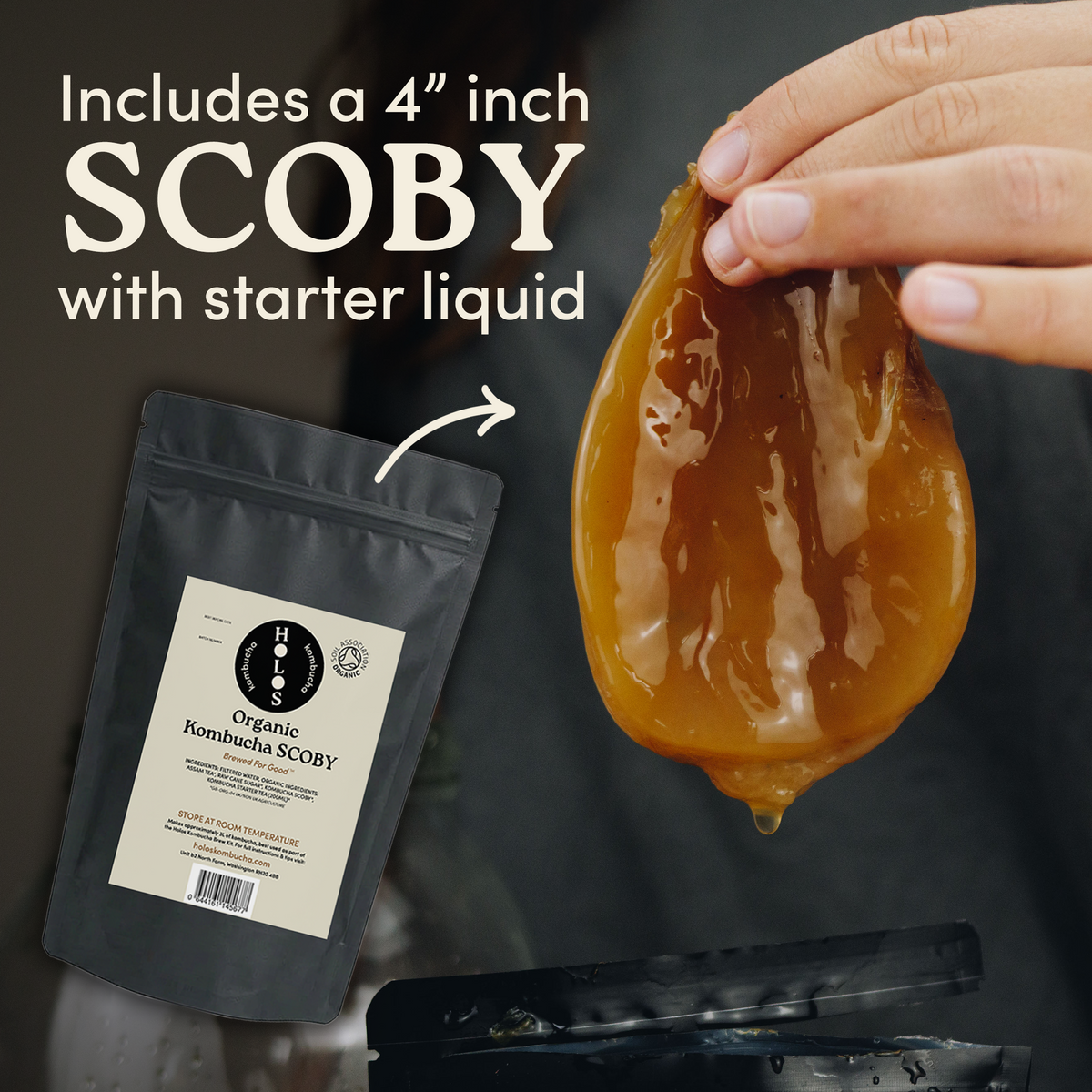 Organic Kombucha Brewing Kit with SCOBY