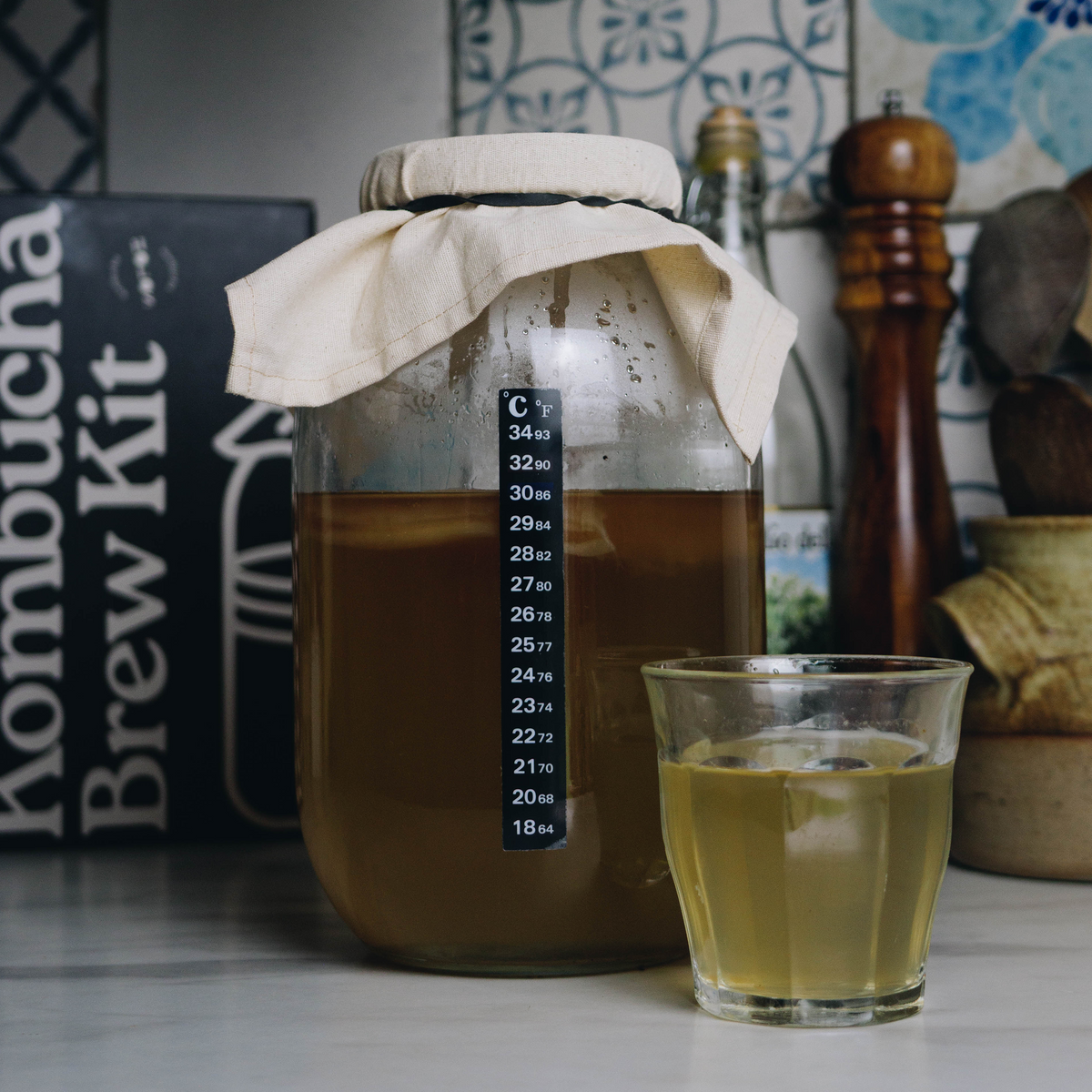Organic Kombucha Brewing Kit with SCOBY