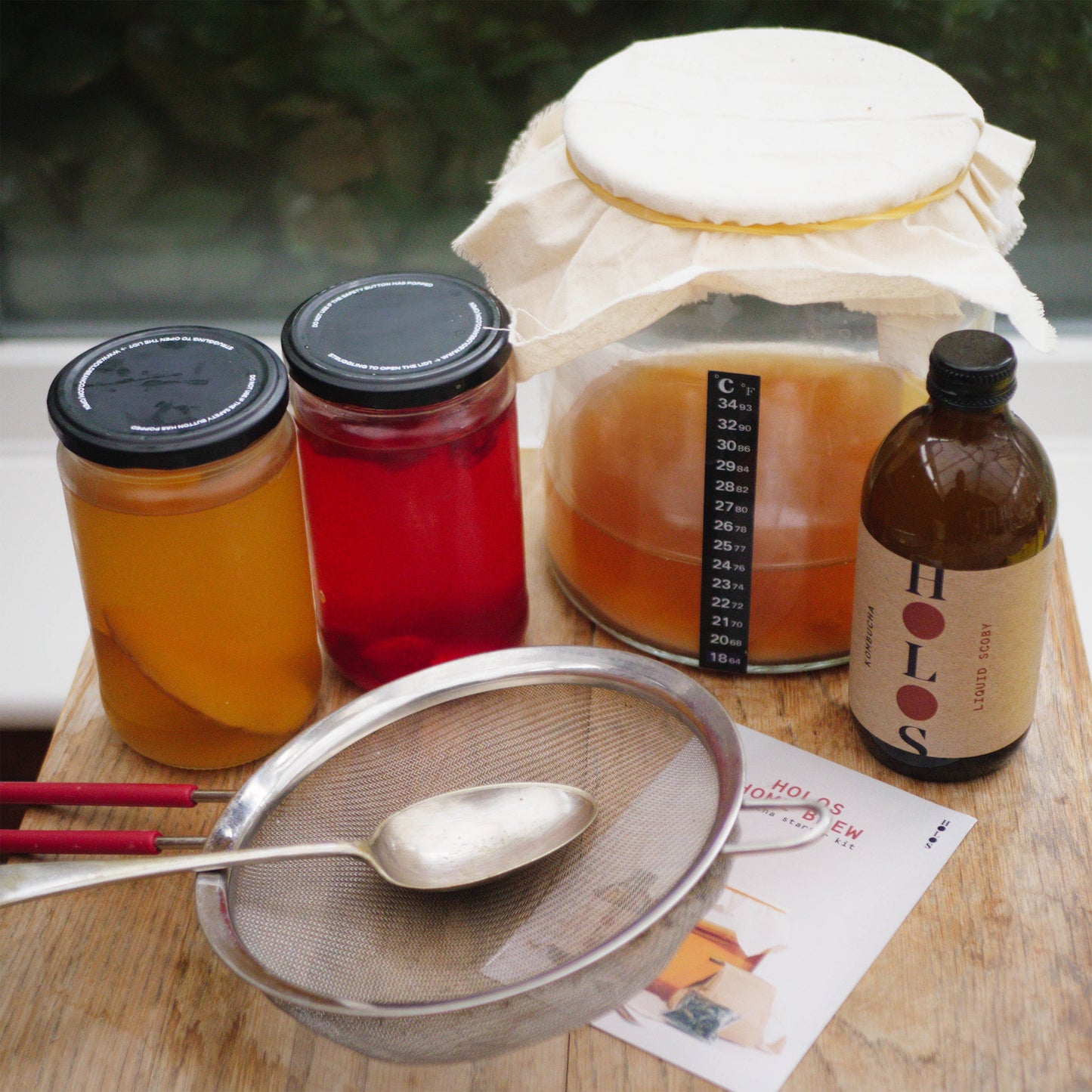 Kombucha Brewing Kit with SCOBY